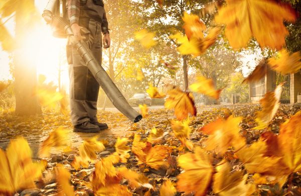 Leaf Blowing Service in Martinsburg