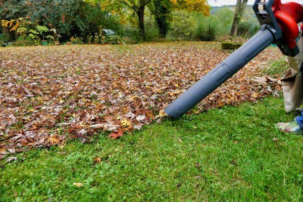 Leaf Vacuuming Service in Martinsburg