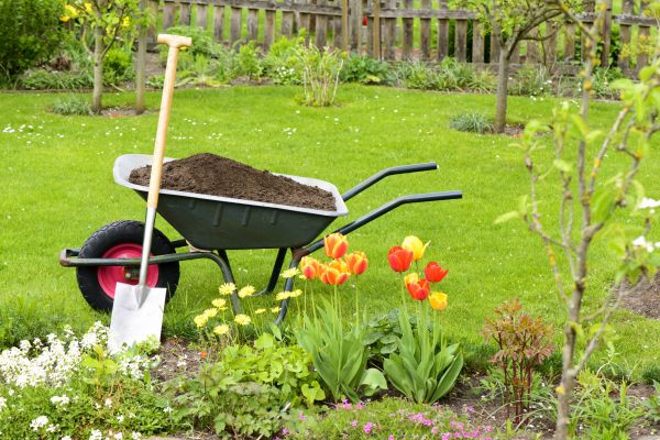 Spring Yard Cleanup in Martinsburg