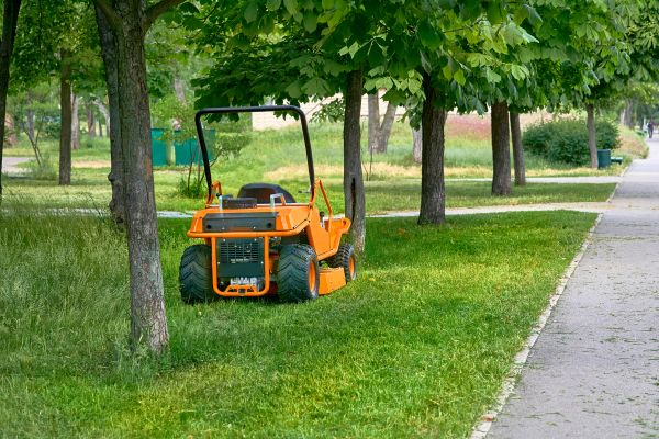 Landscaping Cleanup Service in Martinsburg