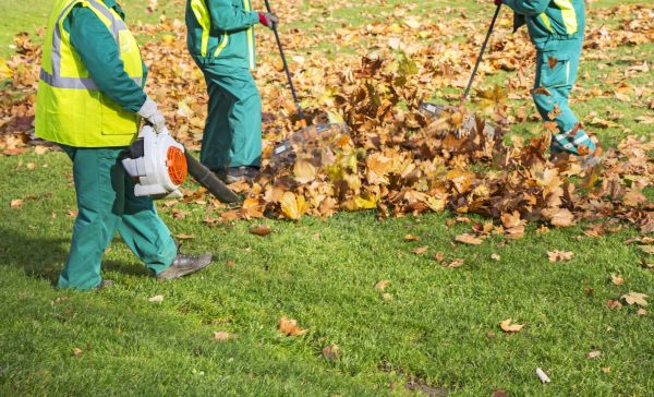 Leaf Maintenance in Martinsburg