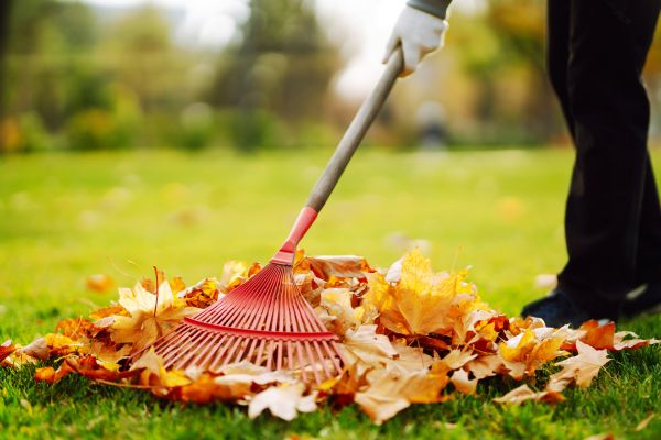 Ditch Leaf Removal in Martinsburg