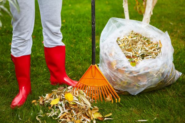 Leaf Disposal Service in Martinsburg