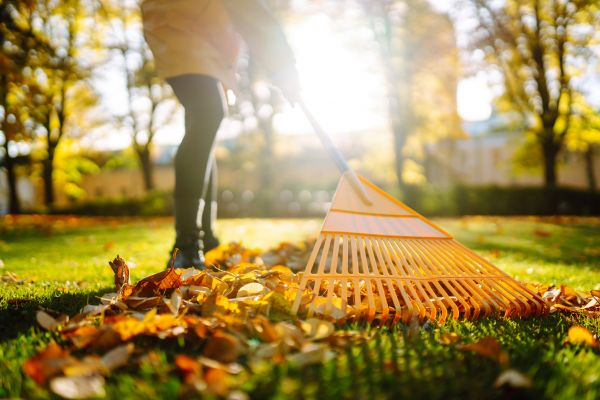 Leaves Raking in Martinsburg