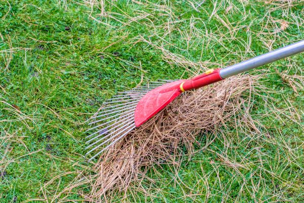 Yard Raking in Martinsburg