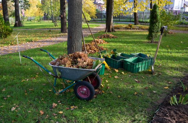 Leaf Clearing Service in Martinsburg