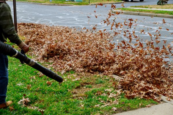Garden Leaf Removal in Martinsburg