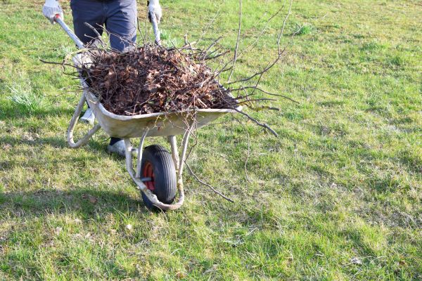 Yard Brush Removal in Martinsburg