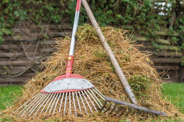 Pine Straw Clearing in Martinsburg