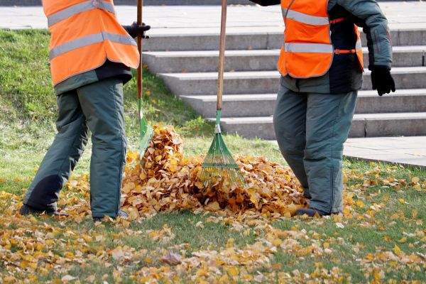 Leaf Hauling Service in Martinsburg