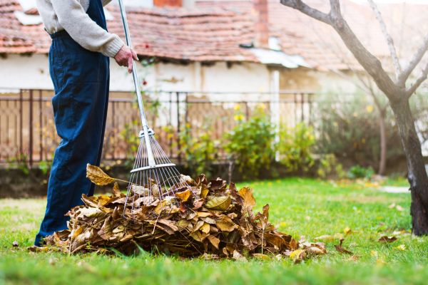 Spring Lawn Cleanup in Martinsburg