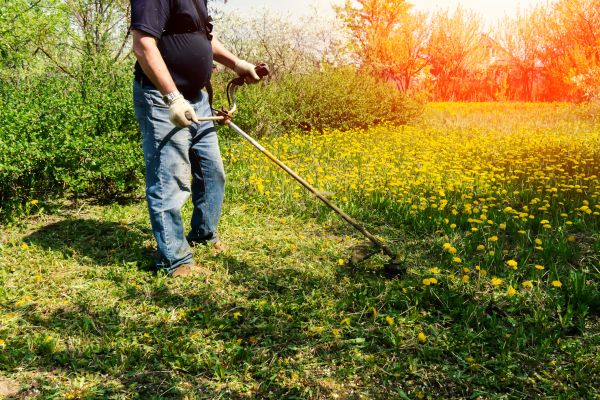 Yard Clearing Service in Martinsburg