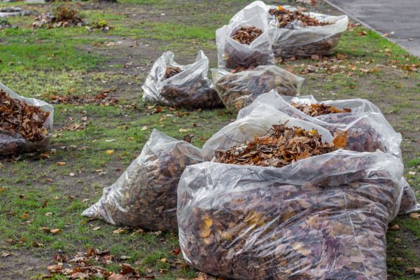 Leaf Pile Disposal in Martinsburg