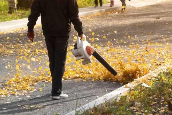 Commercial Leaf Removal in Martinsburg